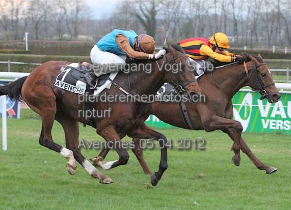 Loewengang Vogt S 4b prot